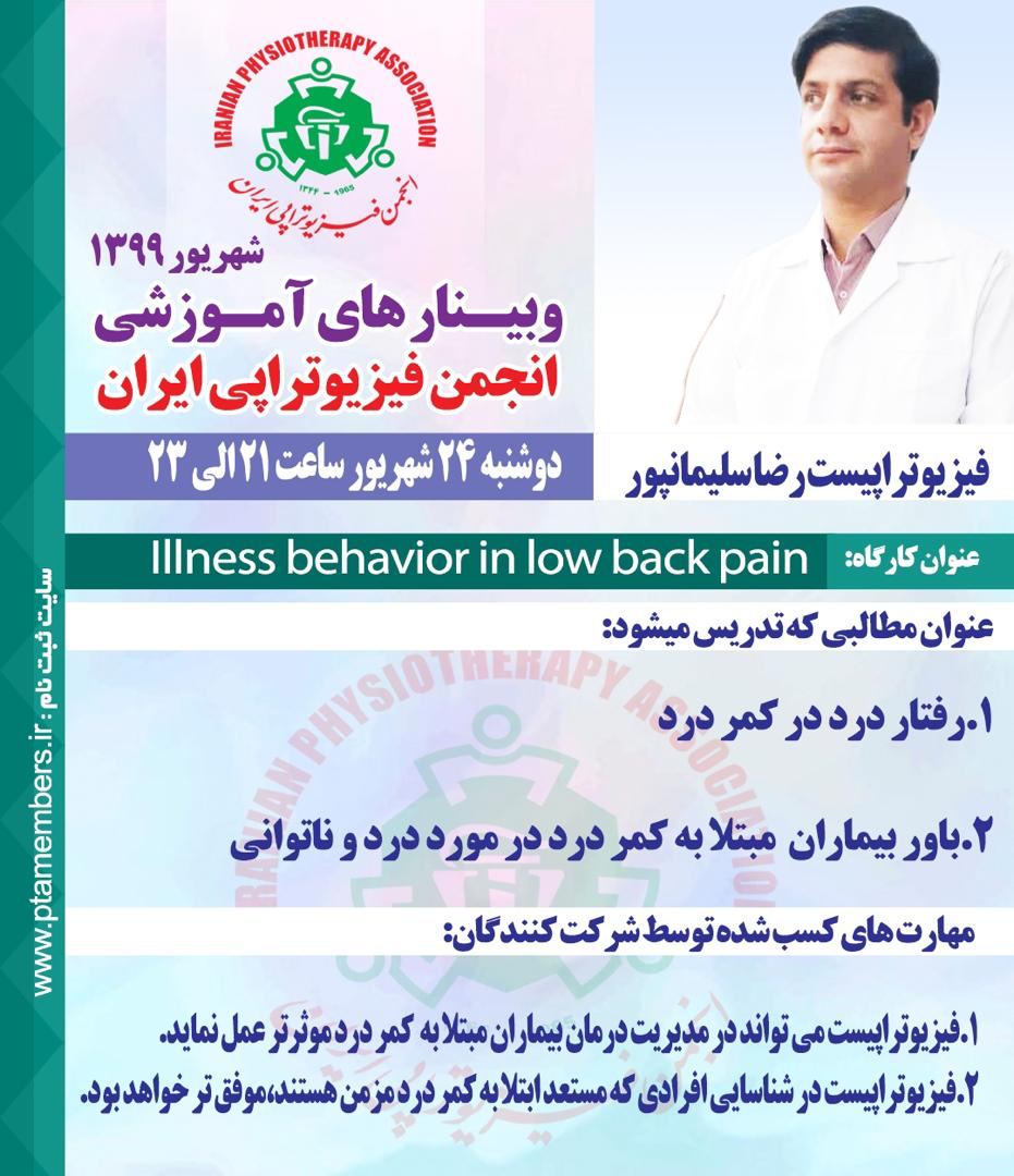 Illness behavior in low back pain
